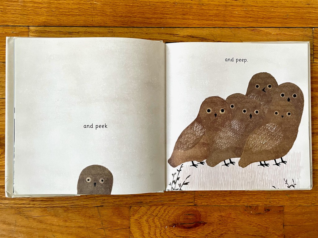 owls peeking and peering 