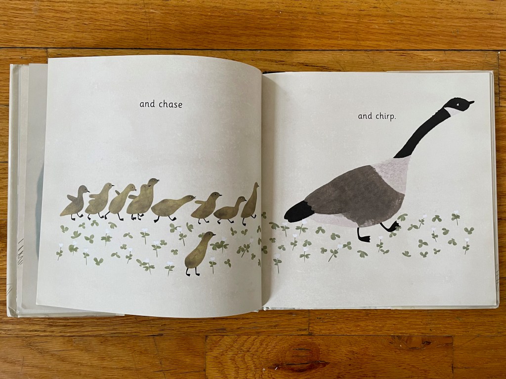 a mother geese leading her many little geese